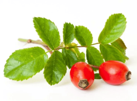 pomegranate in Gluconol